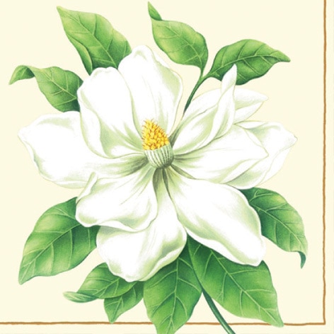 Elegant Botanic Magnolia Designer Lunch Napkins - Posh Party Supplies
