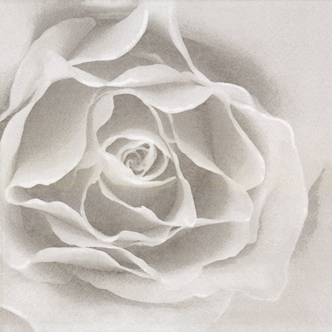 Silver Rose Lunch Napkins - 20 Paper Napkins Silver Rose Lunch Napkins - 20 Paper Napkins