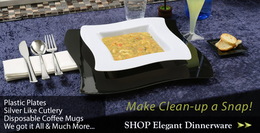 elegant disposable dinnerware