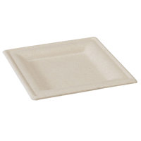 Brownsquare Sugar Cane Plate - 10 X 10" - 250 Plates