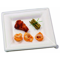 Square Sugar Cane Plate - 10 X 10" - 250 Plates