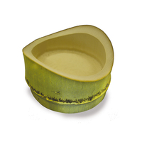 Tamago Oblique Cut Bamboo Tube- 3.9 X 2.1" - 200