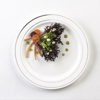 Elegant 10" White and Silver Plastic Round Plate- 120 Plates