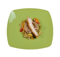 Elegant Green Plastic Square 10" Dinner Plate