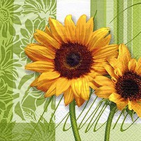 Pretty Tourneso Lunch Wedding Napkins - Posh Party Supplies