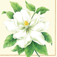 Elegant Botanic Magnolia Designer Lunch Napkins - Posh Party Supplies
