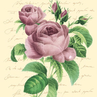 Elegant Rose June Designer Lunch Napkins - Posh Party Supplies