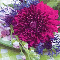 Elegant Dahlia Cornflower Designer Lunch Napkins - Posh Party Supplies