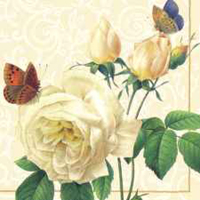 Pretty Bengale Rose Designer Lunch Napkins - Posh Party Supplies