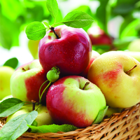 Pretty Sunny Apples Designer Lunch Napkins - Posh Party Supplies