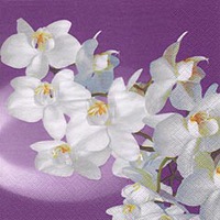 Pretty Orchidea Bianca Designer Lunch Napkins - Posh Party Supplies