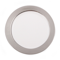white plastic party plates with silver border
